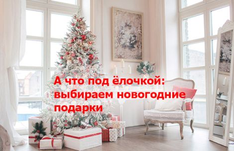 А что под ёлочкой: выбираем новогодние подарки А что под ёлочкой: выбираем новогодние подарки