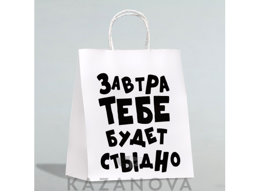 Пакет подарочный крафт "Завтра тебе будет стыдно" 24*14*30 см