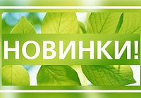 Летние новинки в Kazanova Academy Летние новинки в Kazanova Academy
