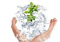 Мицеллярная жидкость IZEE для интимной гигиены с нужным pH! Мицеллярная жидкость IZEE для интимной гигиены с нужным pH!